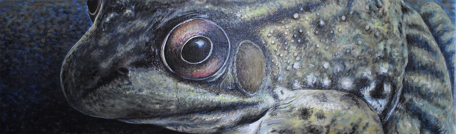 Walleye Paintings