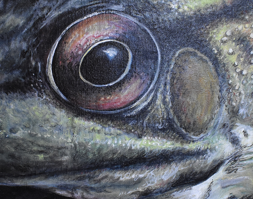 Walleye Paintings