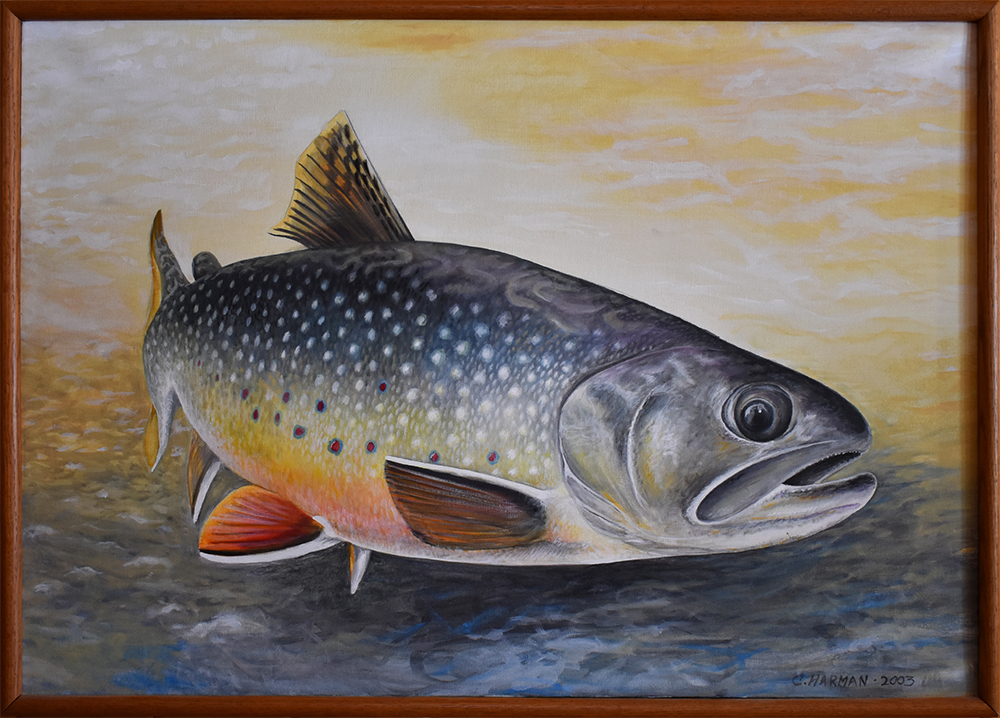 Walleye Paintings