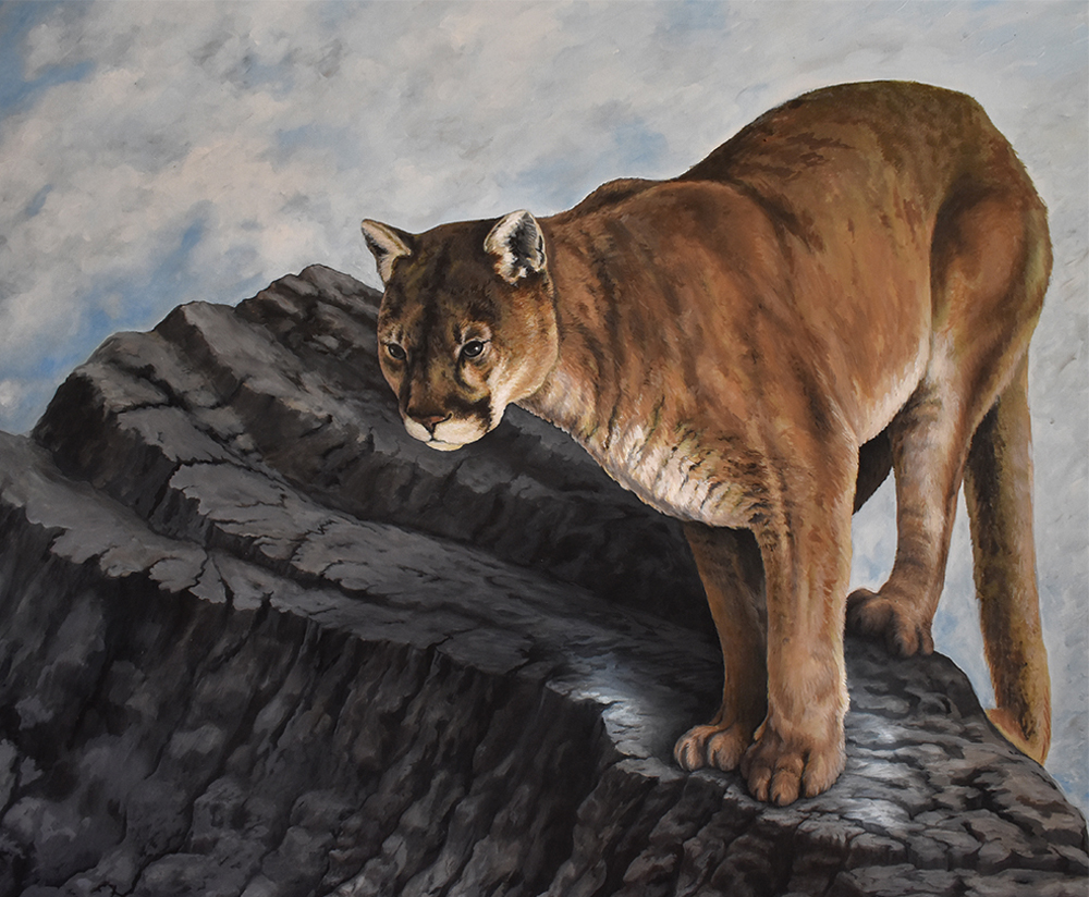 Mountain Lion Paintings, Large Puma Painting, Large Mountain Lion Painting