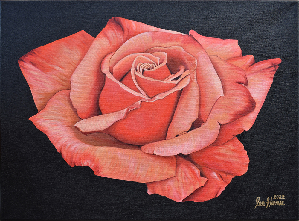 Peach Rose Paintings | Peach Rose Paintings | Rose Paintings on Canvas | Acrylic on Canvas Rose Paintings by Jess