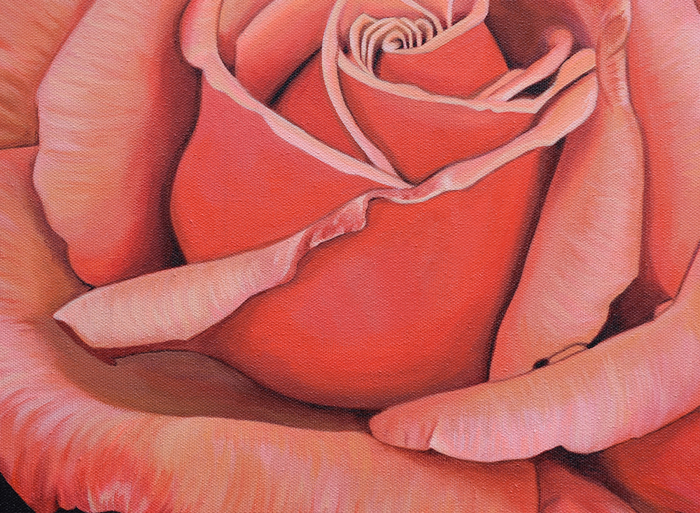 Rose Paintings