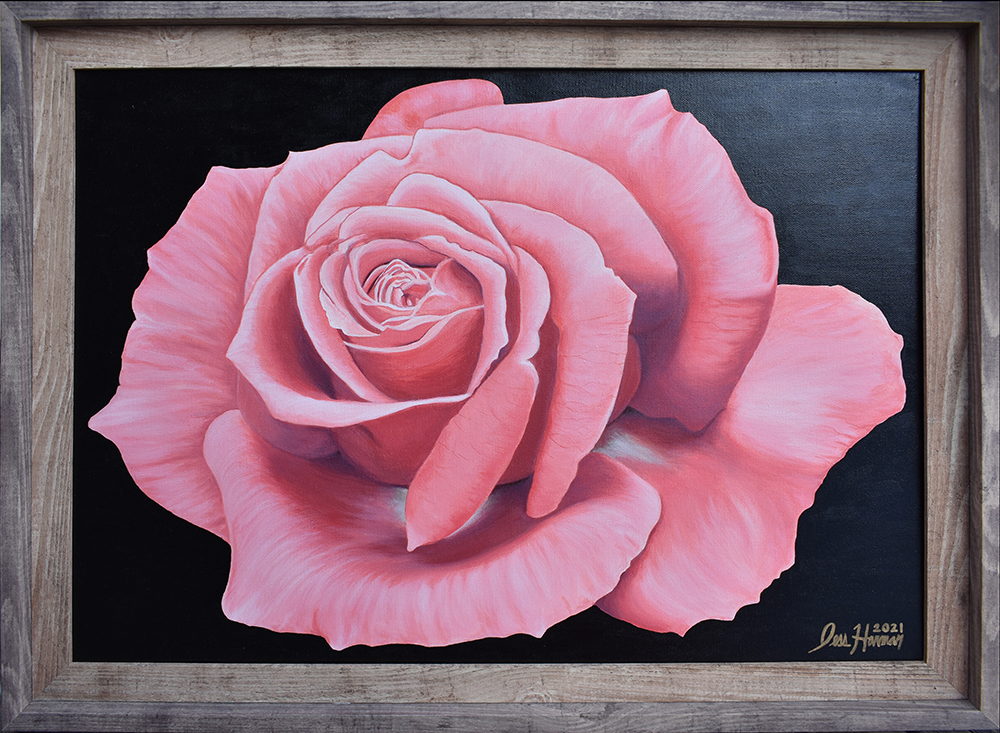 Rose Paintings | Pink Rose Paintings | Rose Paintings on Canvas | Acrylic on Canvas Rose Paintings by Jess