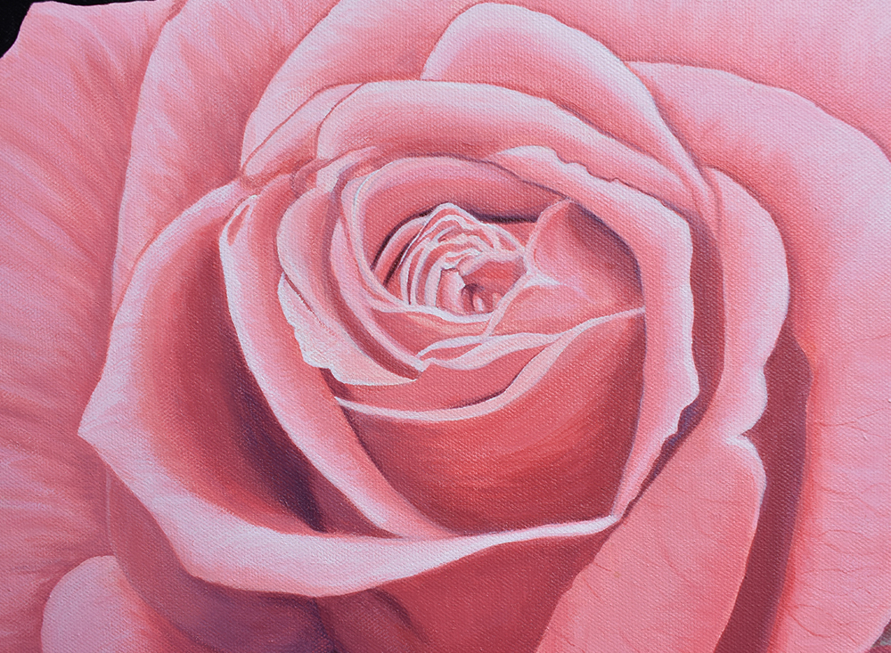 Rose Paintings | Pink Rose Paintings | Rose Paintings on Canvas | Acrylic on Canvas Rose Paintings by Jess