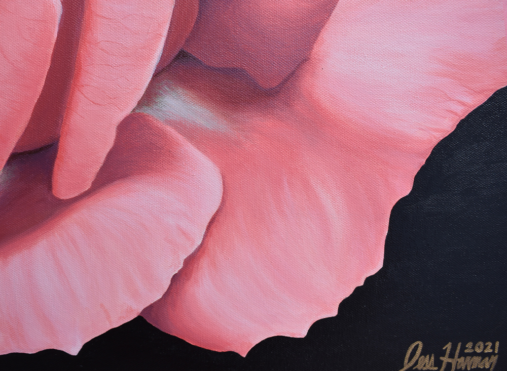 Rose Paintings | Pink Rose Paintings | Rose Paintings on Canvas | Acrylic on Canvas Rose Paintings by Jess