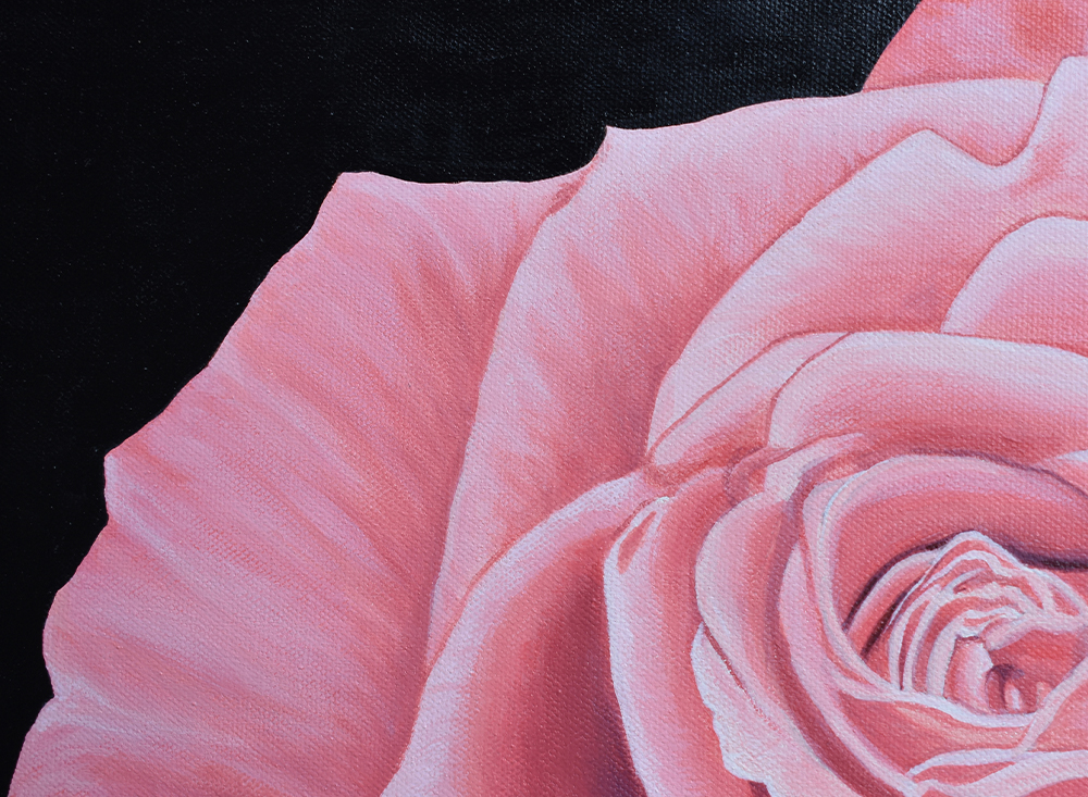 Rose Paintings | Pink Rose Paintings | Rose Paintings on Canvas | Acrylic on Canvas Rose Paintings by Jess
