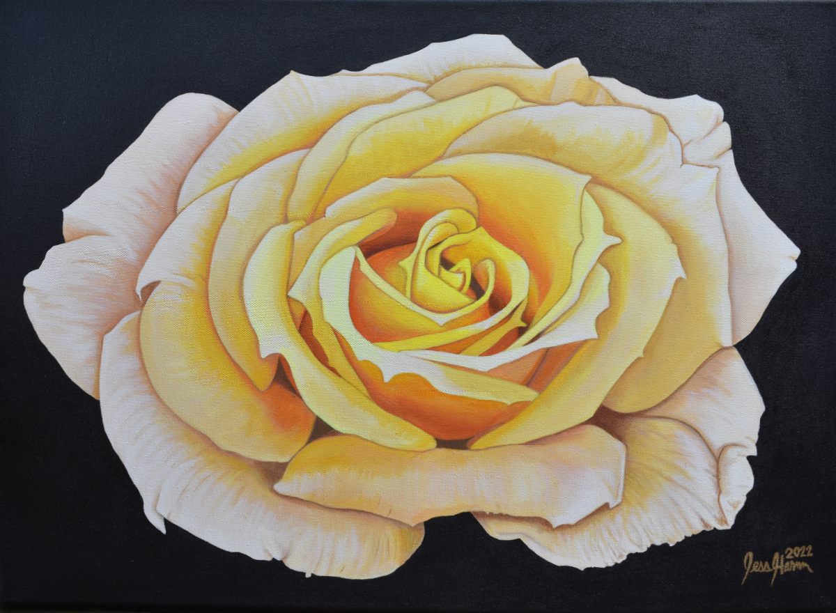 Yellow Rose Paintings on Canvas