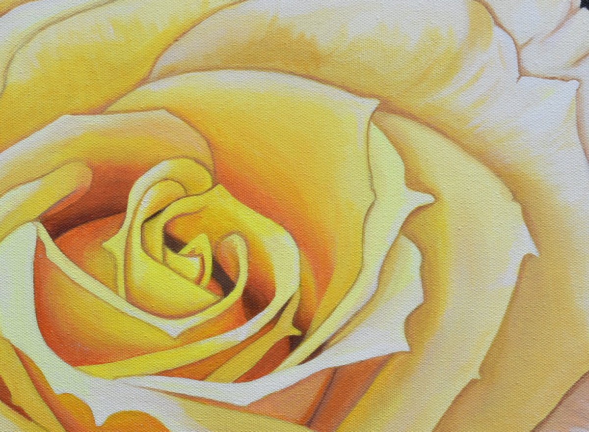 Yellow Rose Paintings on Canvas