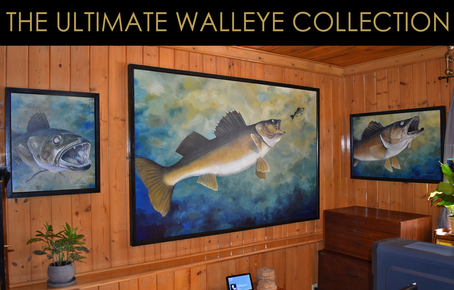 Walleye Paintings, Walleye Art, Walleye Art, Paintings of Fish, Fish Paintings, Walleye, Original Paintings of Walleye, Walleye Art Paintings, Large Walleye Paintings, Walleye, Michigan