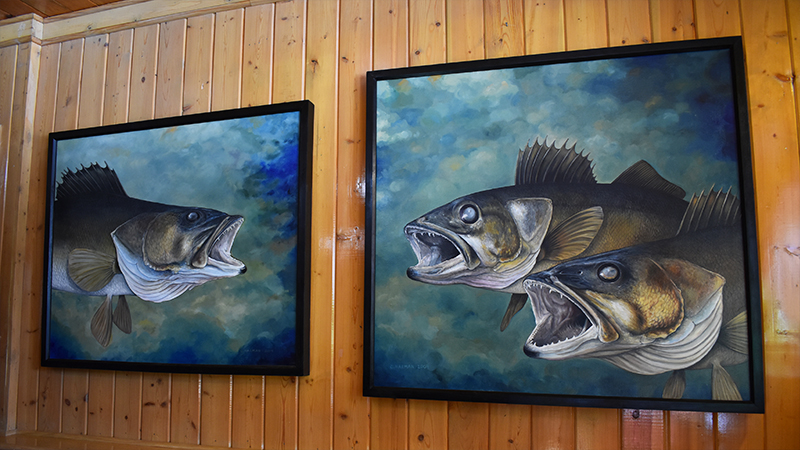 Fine Art Walleye Paintings | Fish Art | Fish Paintings | Walleye Paintings