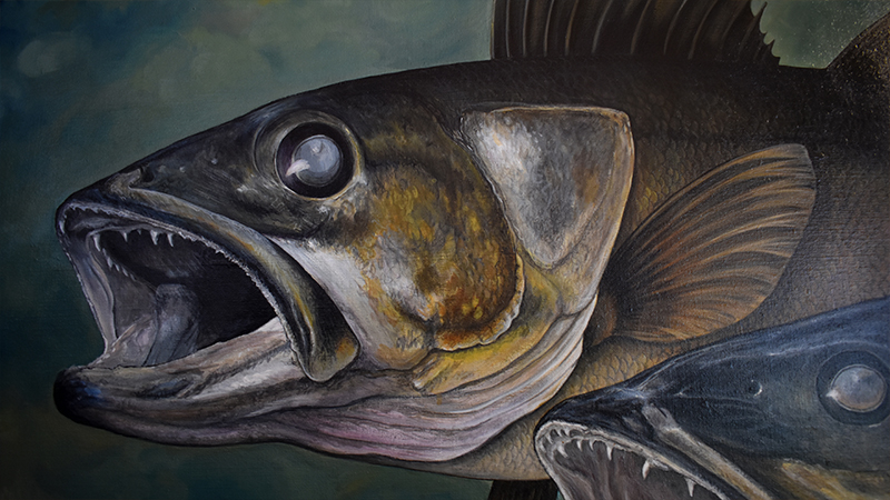 Walleye Paintings