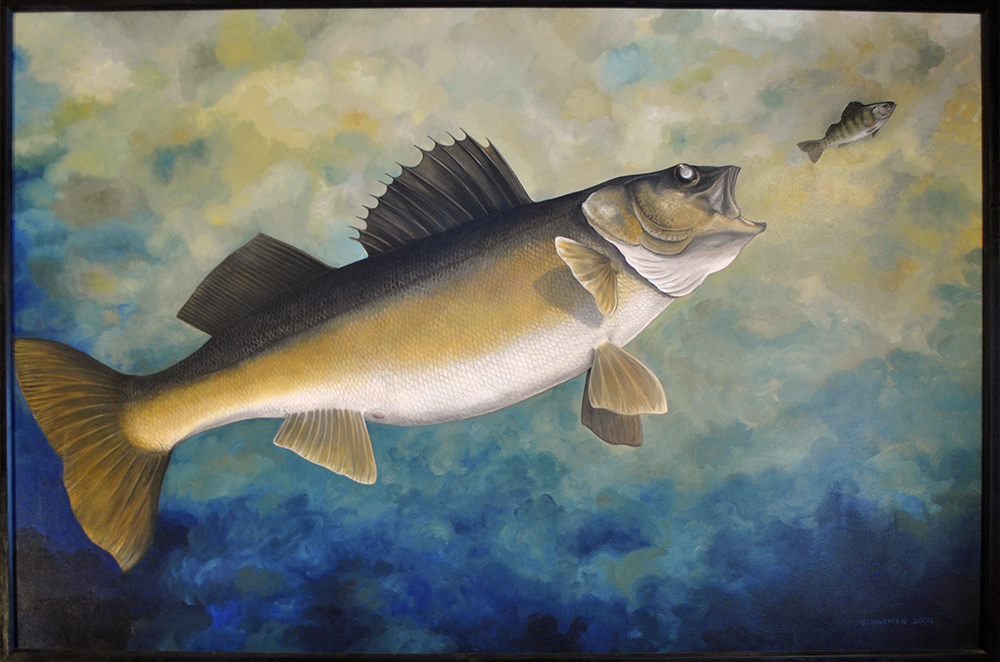 Walleye Paintings